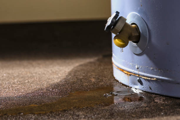 Best Sewage cleanup and water damage restoration  in Soh Willard, UT