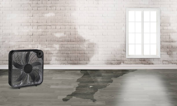 Best Fire Damage Restoration  in Soh Willard, UT