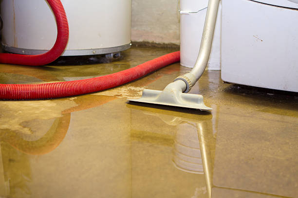Best Emergency water damage restoration  in Soh Willard, UT