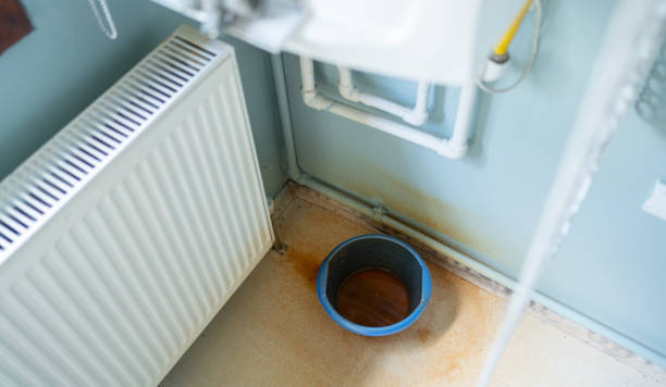 Best Water damage restoration mold remediation  in Soh Willard, UT