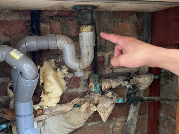 Best Flood restoration services  in Soh Willard, UT